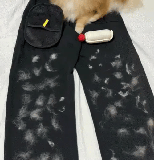 Gants anti-dépôt spécial animaux