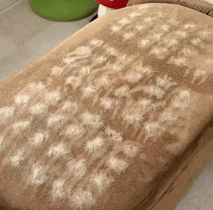 Velnaly™ Vivez avec votre animal, pas malgré lui.